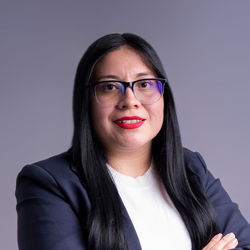 Desarrollo de Negocio